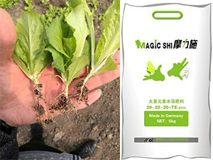 ϵ؅^(q)߲Ħˮܷʜʛ]e