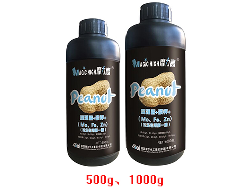 花生的第一遍 花生的第一遍