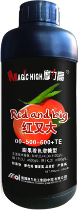 紅又大(00-500-600+TE) 紅又大(00-500-600+TE)