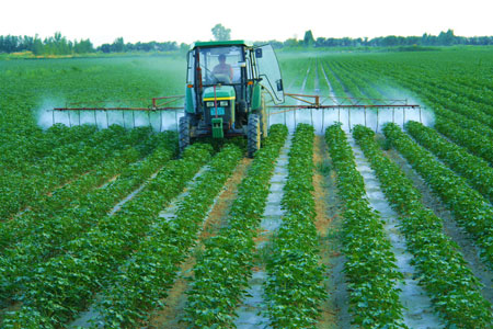 葉面噴施的特點