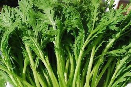 茼蒿施肥方法及施用指南 茼蒿施肥方法及施用指南