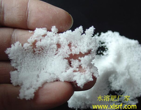 水溶肥持效期 水溶肥持效期