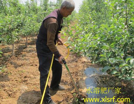 蘋果樹水溶肥選擇及施肥 蘋果樹水溶肥選擇及施肥