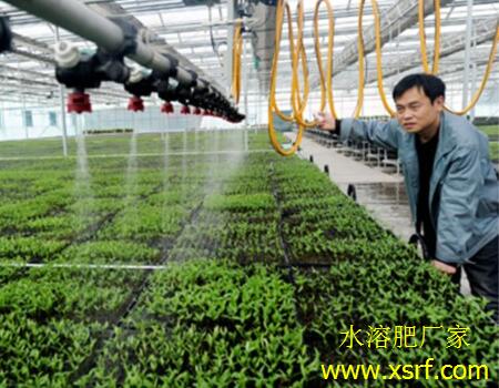 腐植酸水溶肥功能作用 腐植酸水溶肥功能作用