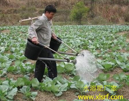 蔬菜沖施水溶肥 蔬菜沖施水溶肥