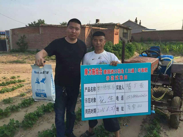 摩爾水溶肥在花生田間試驗(yàn) 摩爾水溶肥在花生田間試驗(yàn)