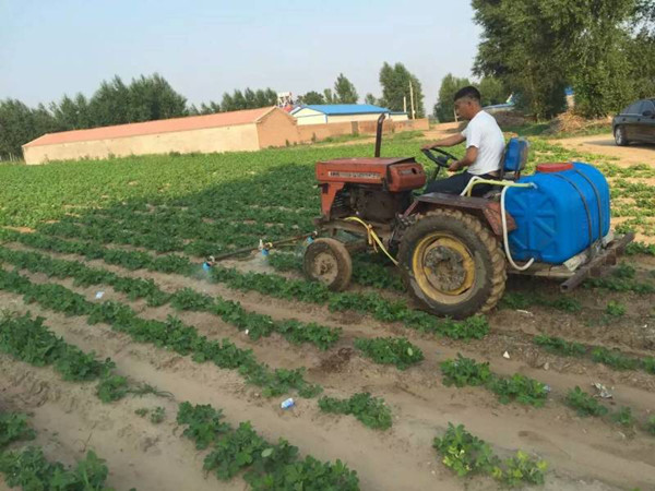 花生追施摩爾水溶肥 花生追施摩爾水溶肥
