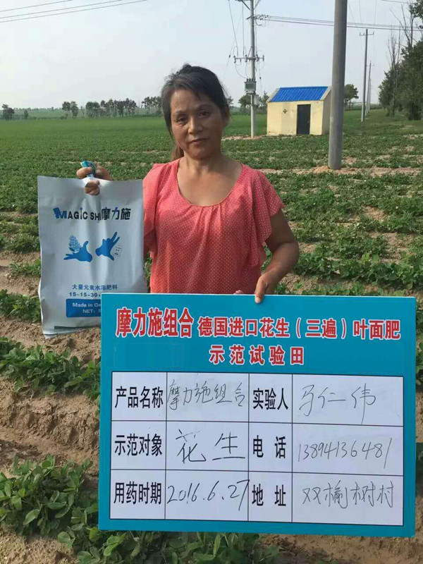 花生水溶肥試驗 花生水溶肥試驗