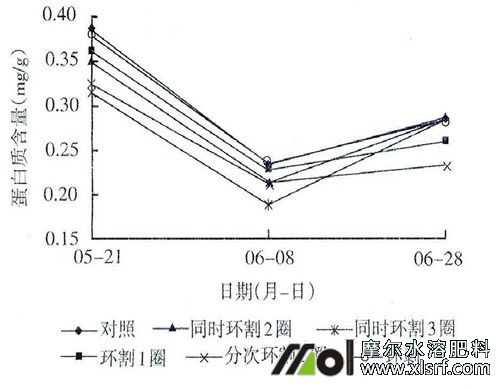 夏季進行蘋果環(huán)剝 夏季進行蘋果環(huán)剝