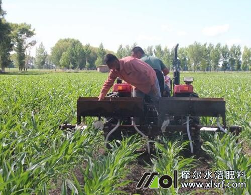水溶肥與復(fù)合肥合理選用 水溶肥與復(fù)合肥合理選用