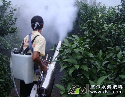 如何加快水溶肥的推廣步伐 如何加快水溶肥的推廣步伐