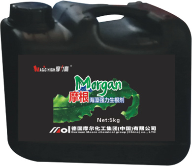 摩根海藻強力生根劑 摩根海藻強力生根劑