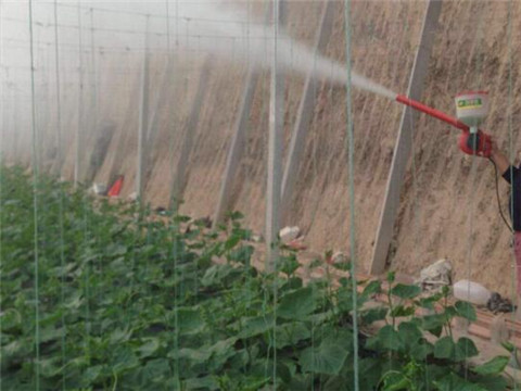 水溶肥稀釋注意 水溶肥稀釋注意
