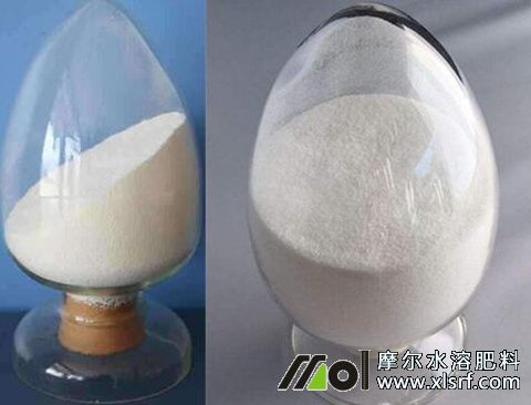 魚蛋白水溶肥作用 魚蛋白水溶肥作用