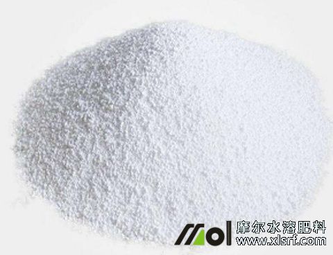 甲殼素介紹 甲殼素介紹