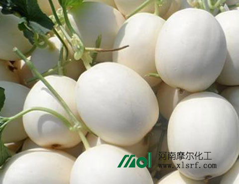 甜瓜施肥 甜瓜施肥