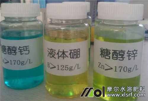 大蒜所需中微量元素 大蒜所需中微量元素