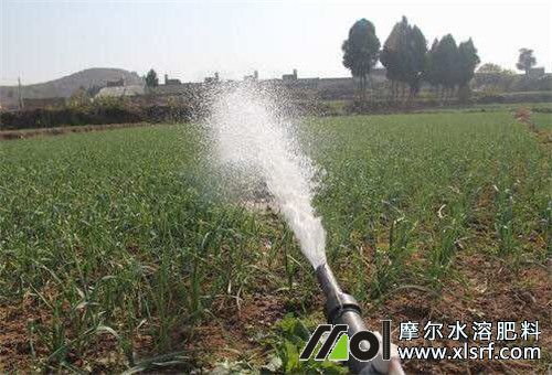 大蒜沖施水溶肥 大蒜沖施水溶肥