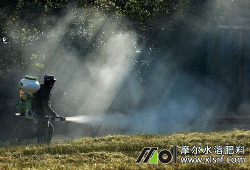 濃縮肥用法 濃縮肥用法
