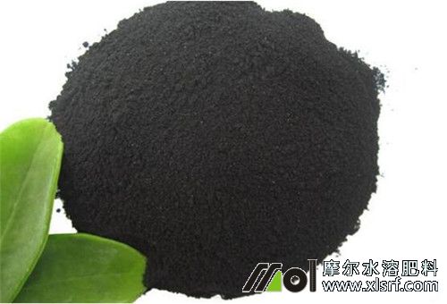 水溶性有機(jī)肥施用 水溶性有機(jī)肥施用