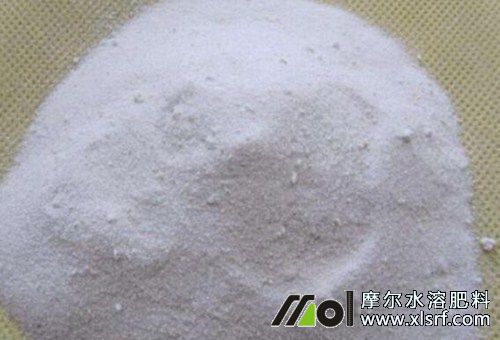 番茄膨大期用鉀肥 番茄膨大期用鉀肥