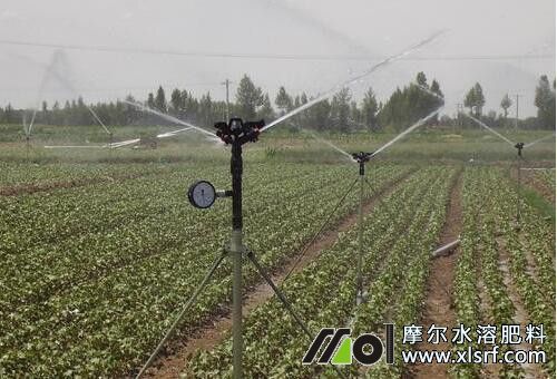 水溶肥噴灌追肥 水溶肥噴灌追肥