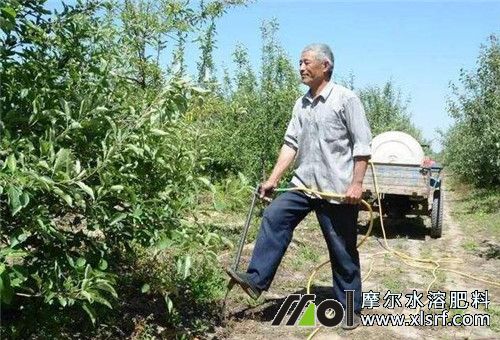 水溶肥沖施 水溶肥沖施