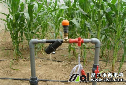 水溶性肥料施用誤區(qū) 水溶性肥料施用誤區(qū)