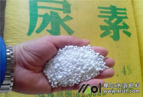 尿素 尿素