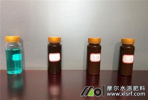 冬季下雪天能用水溶肥 冬季下雪天能用水溶肥