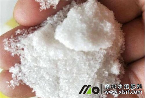 冬季下雪天能用水溶肥 冬季下雪天能用水溶肥