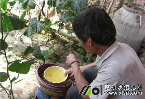 水溶肥追肥注意 水溶肥追肥注意