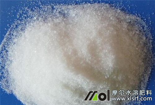 種植番茄追肥種類 種植番茄追肥種類