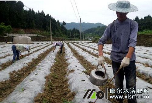 藥肥溶解沖施 藥肥溶解沖施