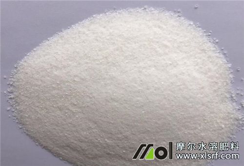 三個19和三個20水溶肥 三個19和三個20水溶肥