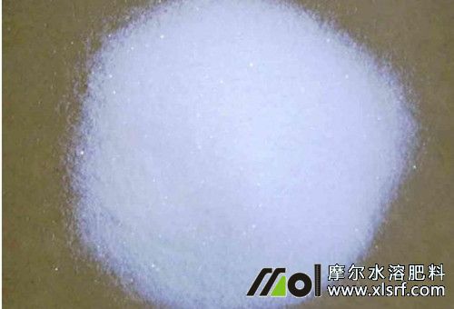 藍(lán)莓追肥所用肥料 藍(lán)莓追肥所用肥料