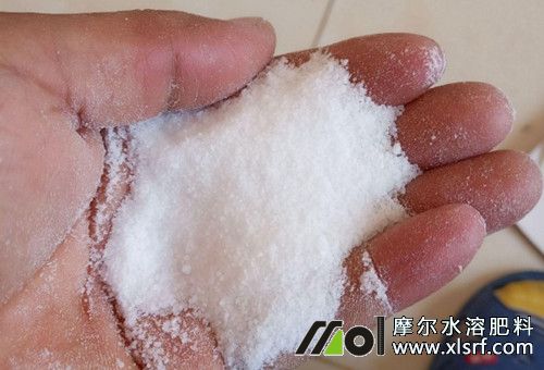 育苗肥畝用量 育苗肥畝用量