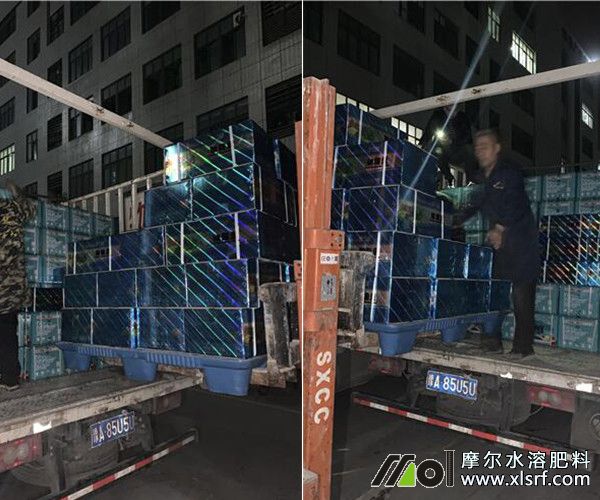 10噸肥料裝車現(xiàn)場1 10噸肥料裝車現(xiàn)場1