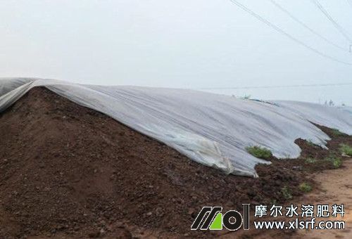 南瓜用的堆肥 南瓜用的堆肥