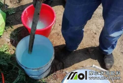 水溶肥料正確使用 水溶肥料正確使用