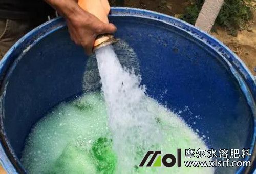 水溶肥溶解水溫 水溶肥溶解水溫