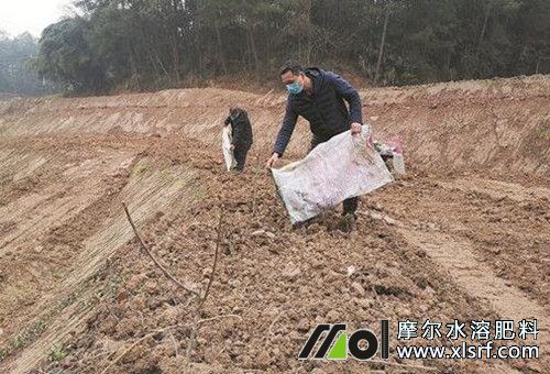 水溶肥和復(fù)合肥用量 水溶肥和復(fù)合肥用量