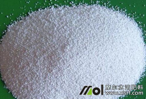 水溶肥能否作水培營養(yǎng)液 水溶肥能否作水培營養(yǎng)液