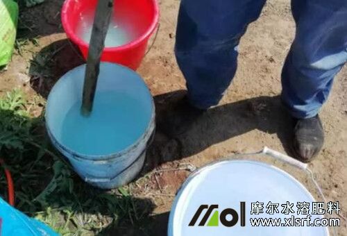 干旱天能否用水溶肥 干旱天能否用水溶肥