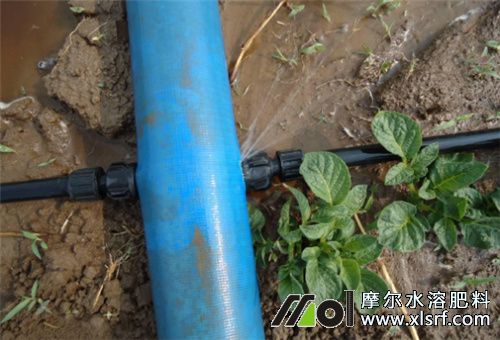 水溶肥滴灌 水溶肥滴灌