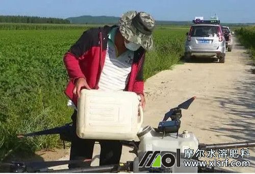 混合后不會失效的藥和肥 混合后不會失效的藥和肥