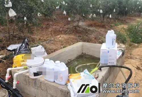 混合后不會失效的藥和肥 混合后不會失效的藥和肥