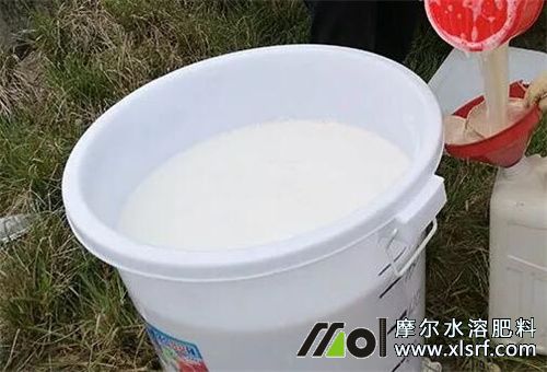 水溶肥怎么用更有效 水溶肥怎么用更有效