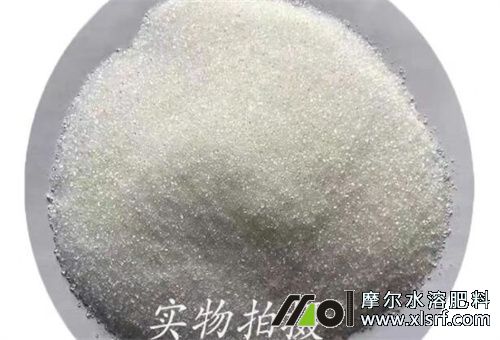 速溶速效肥持效期 速溶速效肥持效期