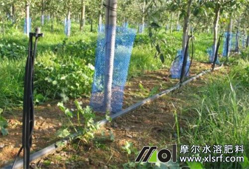 水溶肥使用規(guī)范 水溶肥使用規(guī)范